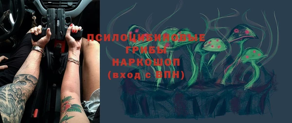 мяу мяу мука Алексин