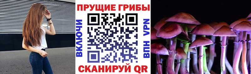 хочу наркоту  Ишим  blacksprut   Галлюциногенные грибы мицелий 